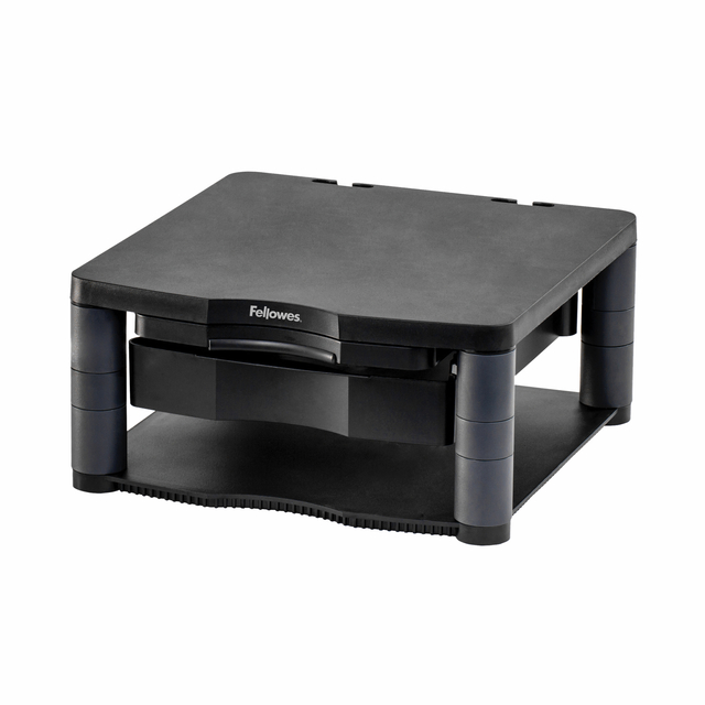 Fellowes Standard Monitor Rsr 9169301