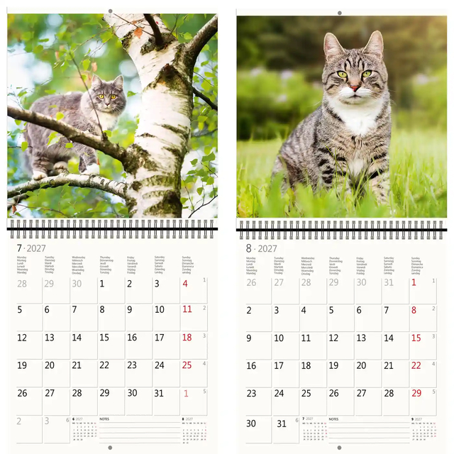 KALENDER 2026 30X30CM KATTEN