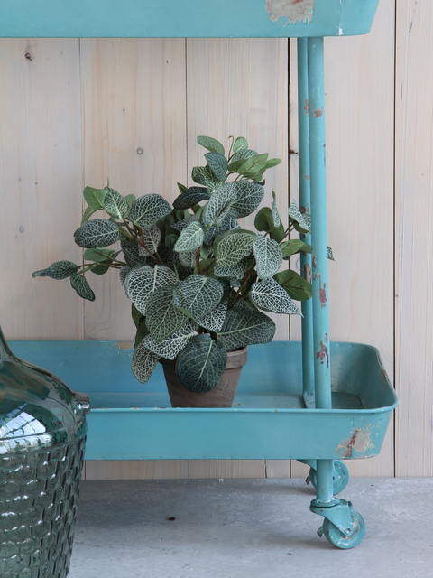 Kunstplant Mica Pilea in pot Ø11,5cm 35x25cm