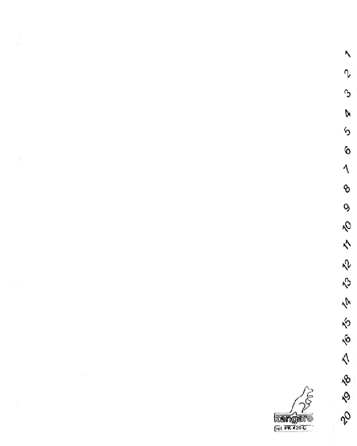 Dividers Kangaro A4 cardboard 190 grs 4 holes 20 tabs numbered white