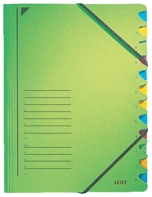 Document wallet 12 tabs carton green