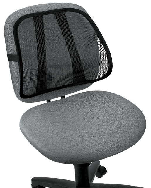 Fellowes OffceSuite MeshBckSpprt 9191301
