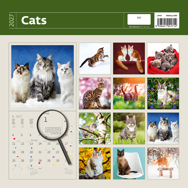 KALENDER 2026 30X30CM KATTEN