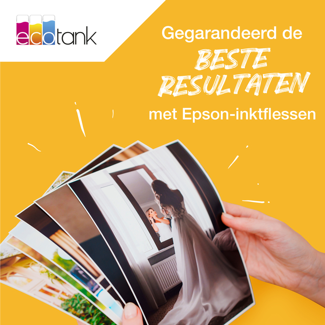 Navulinkt Epson 103 T00S34A rood