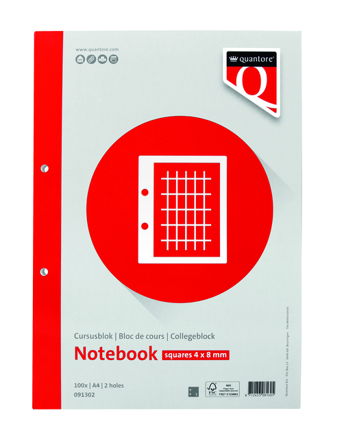 Notebook Quantore A4 spuares 4x8