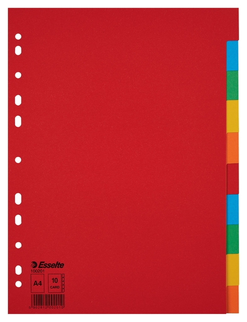 Divider Esselte Economy A4 10 tabs 11-rings cardboard multicolor