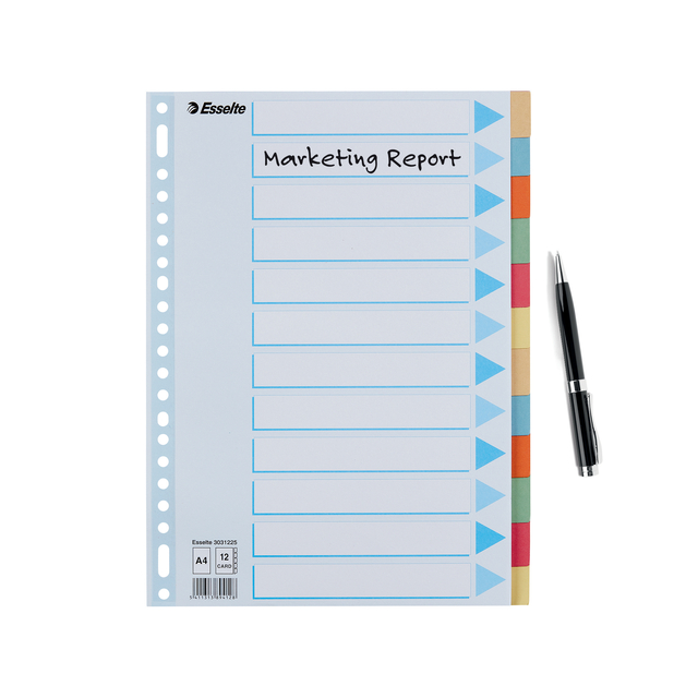 Divider Esselte Premium A4 12 tabs 23-rings cardboard multicolor