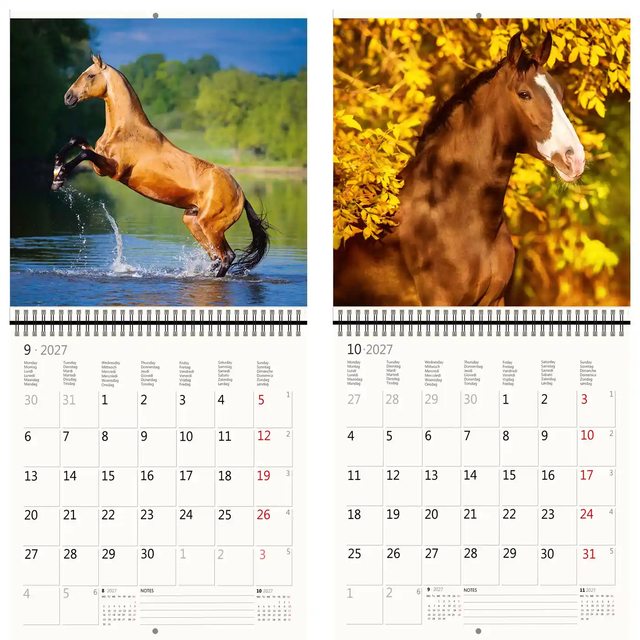 KALENDER 2026 30X30CM PAARDEN
