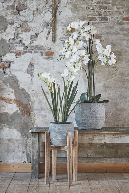 Kunstplant Mica Phalaenopsis orchideeën wit in plastic pot 79x51cm