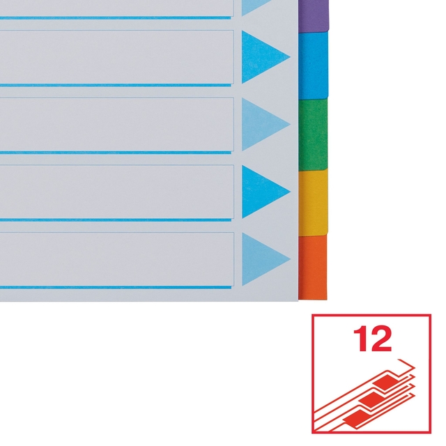 Divider Esselte Standaard A4 12 tabs 11-rings section description cardboard multicolor