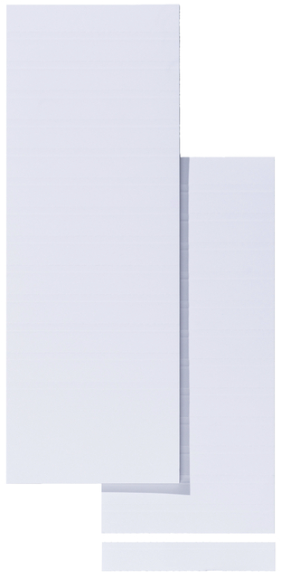 Label Strips for Alzicht Label Holders, 100 mm white