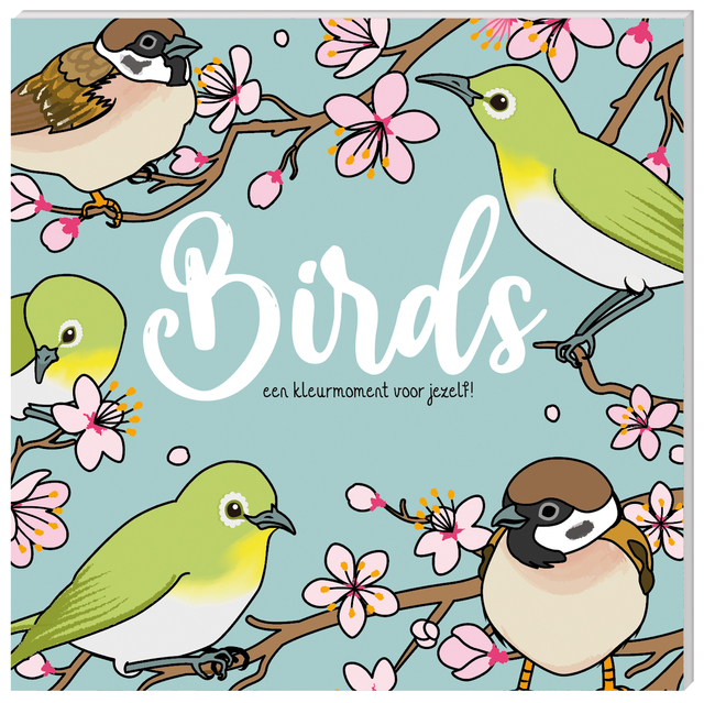 Kleurboek InterStat Birds