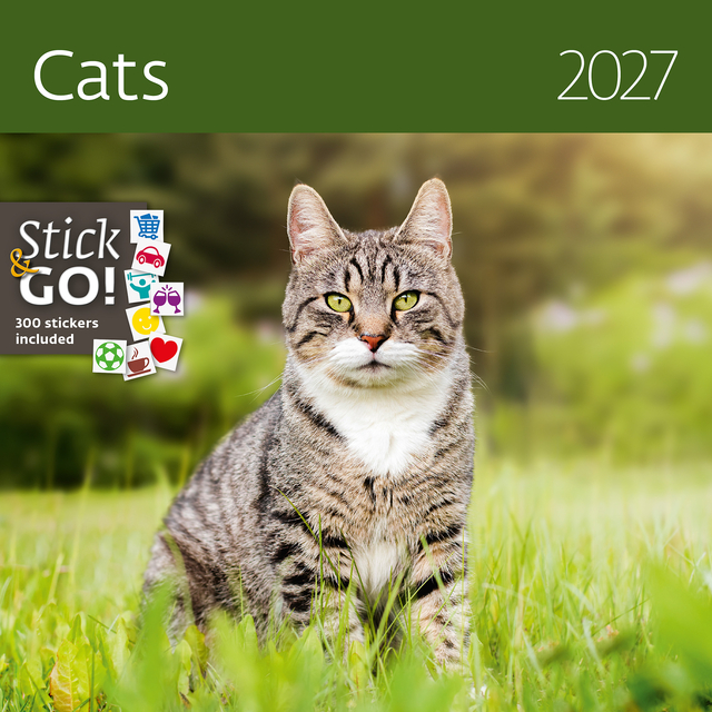 KALENDER 2026 30X30CM KATTEN
