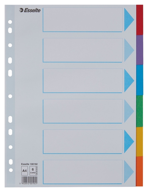 Divider Esselte Standaard A4 6 tabs 11-rings section description cardboard multicolor