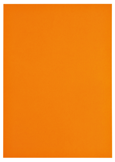 Kopieerpapier Papicolor A4 100gr 12 vel oranje