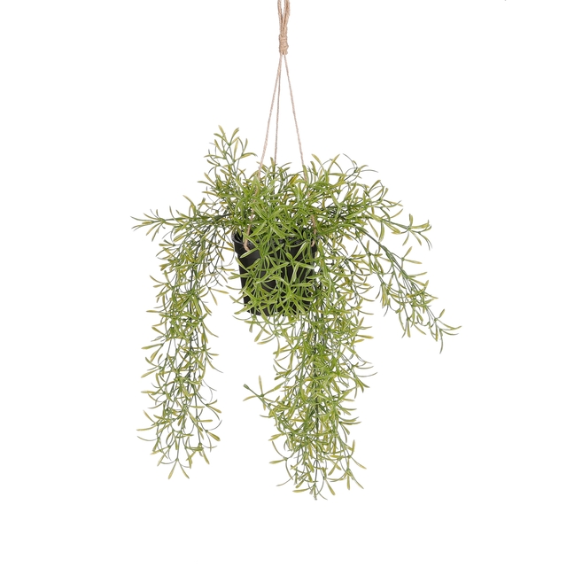 Kunstplant Mica Rhipsalis hangend in pot groen Ø9,5cm 40x20c