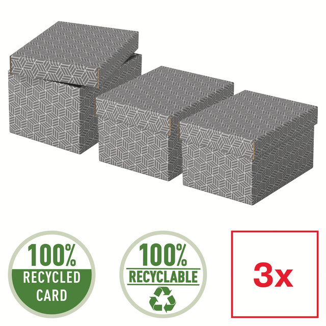 Opberg- en geschenkdoos Esselte home klein 200x150x255mm gr 3 st
