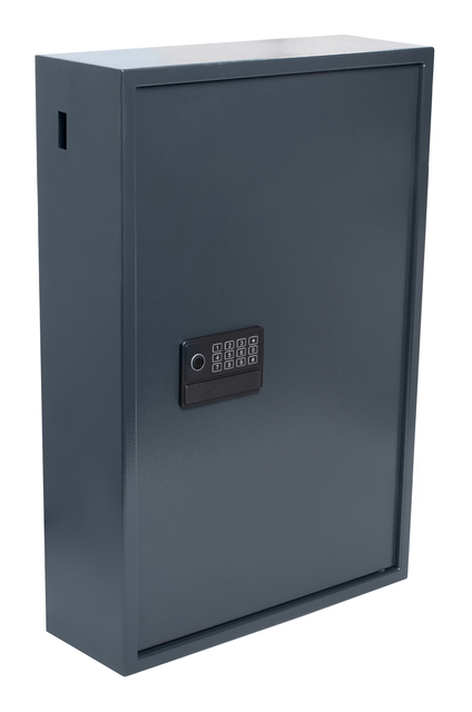 Sleutelkast Pavo High security Advanced 300 haken 650x410x250mm