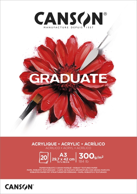 Olie Acrylblok Canson Graduate A3 290gr 20vel