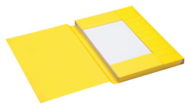 Secolor Folio Document Folder yellow