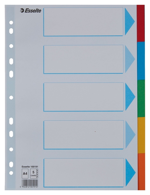 Divider Esselte Standaard A4 5 tabs 11-rings section description cardboard multicolor