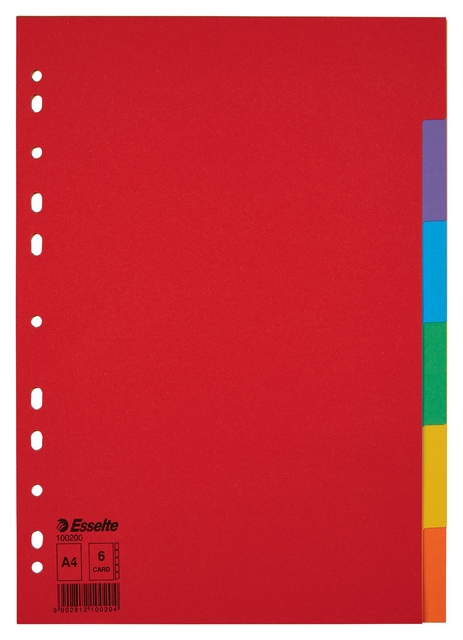 Divider Esselte Economy A4 6 tabs 11-rings cardboard multicolor