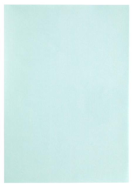 Kopieerpapier Papicolor A4 100gr 12 vel zeegroen