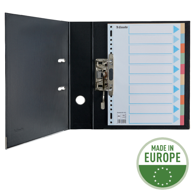 Divider Esselte Premium A4 10 tabs 23-rings cardboard multicolor