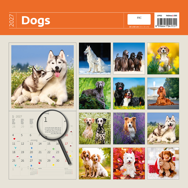 KALENDER 2026 30X30CM HONDEN
