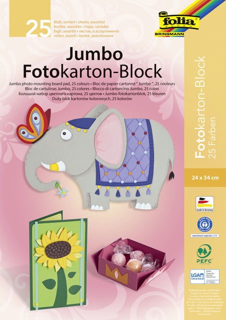 Fotokarton Folia 2-zijdig 24x35cm 300gr 25 vel assorti