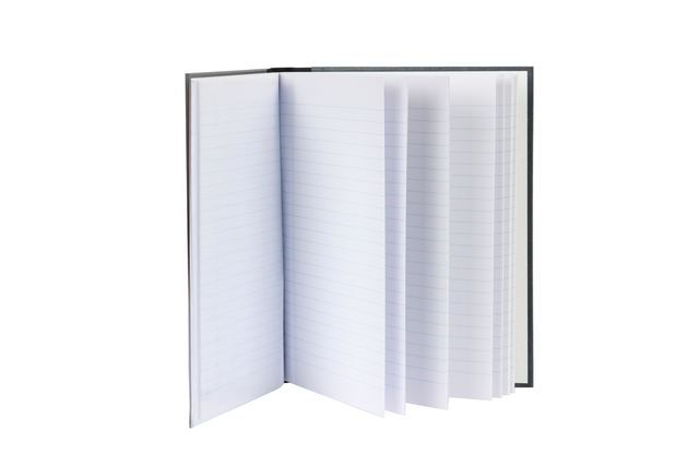 Excellent Notebook, sewn 210 165 mm, 96 pages