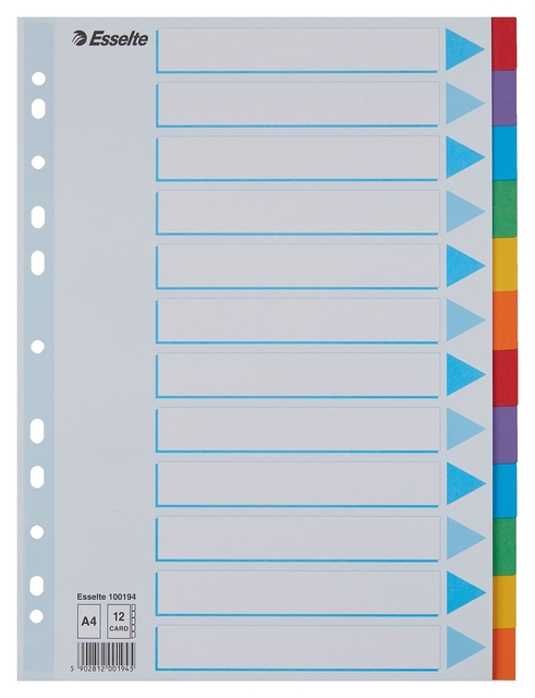 Divider Esselte Standaard A4 12 tabs 11-rings section description cardboard multicolor