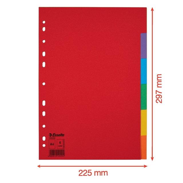 Divider Esselte Economy A4 6 tabs 11-rings cardboard multicolor