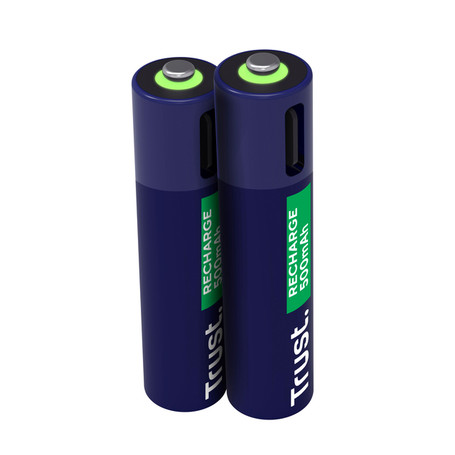 Batterij Trust USB-C oplaadbaar AAA 2 stuks