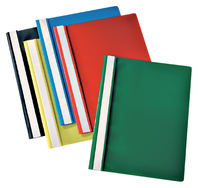 Esselte VIVIDA Plastic Report File