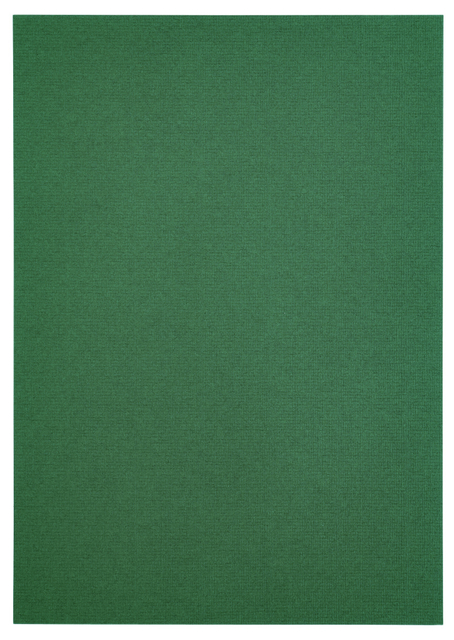 Kopieerpapier Papicolor A4 100gr 12 vel dennengroen