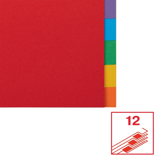 Divider Esselte Economy A4 12 tabs 11-rings cardboard multicolor