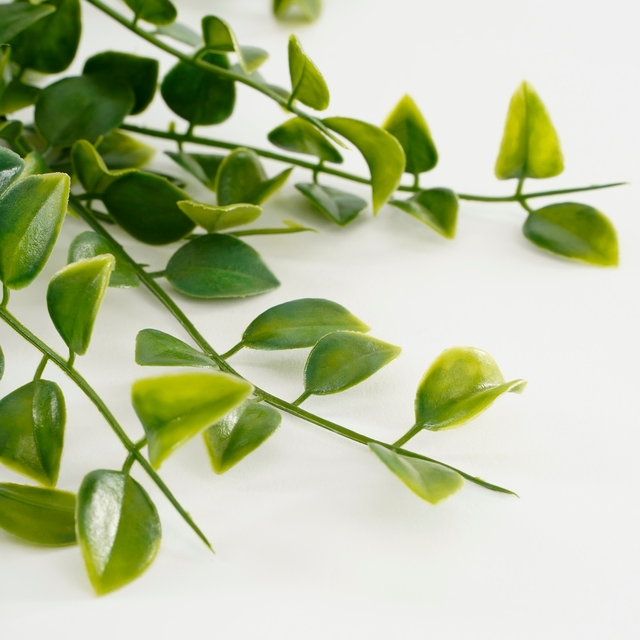 Kunstplant Mica Ficus hangend in pot groen Ø20 46c