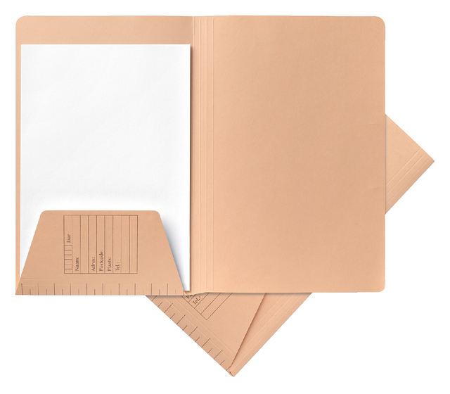 File folder Djois A4 1 flap 250gr chamois