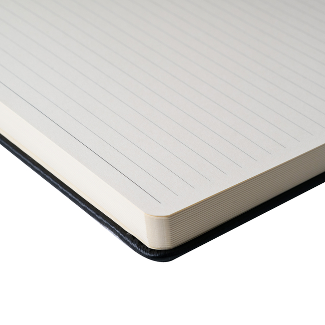 Notitieboek Sakura large 130x210mm lijn hard cover dennennaald