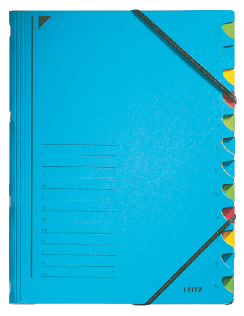Document wallet 12 tabs carton blue