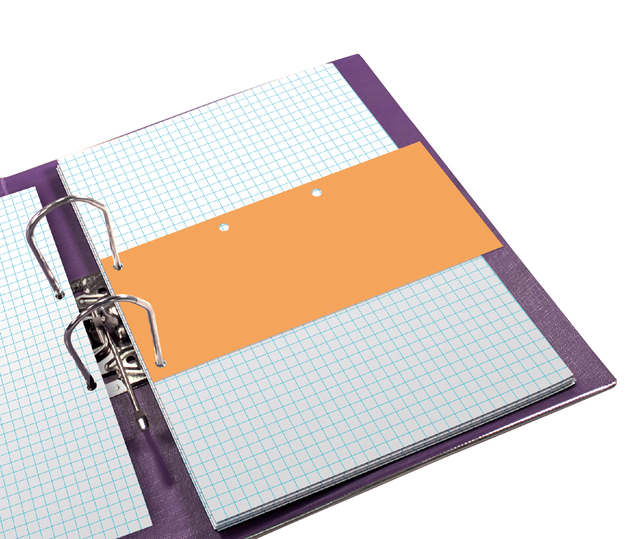 ELBA Dividers neutral "DUO" 240X105,punching on the narrow and long side, manila 160 g/m², orange, Pack of 6