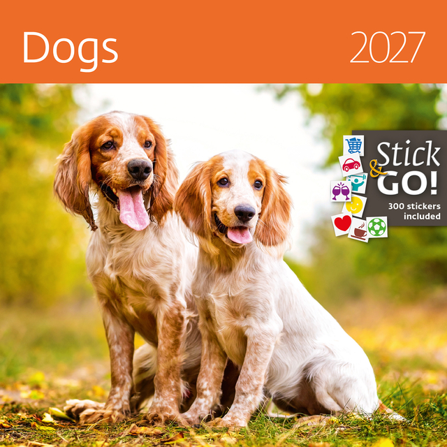 KALENDER 2026 30X30CM HONDEN
