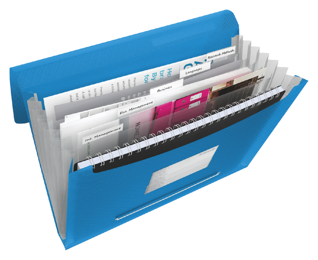 Document wallet Esselte Vivida A4 6 compartments PP blue