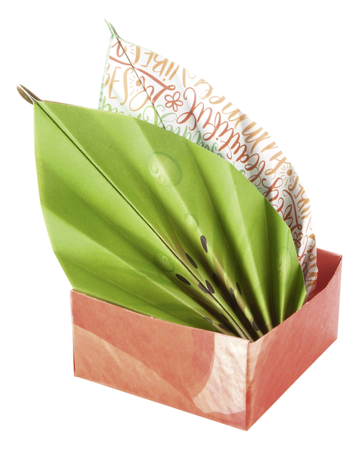 Vouwblaadjes Folia 80gr 15x15cm 50 vel 2-zijdig 10 tropical designs