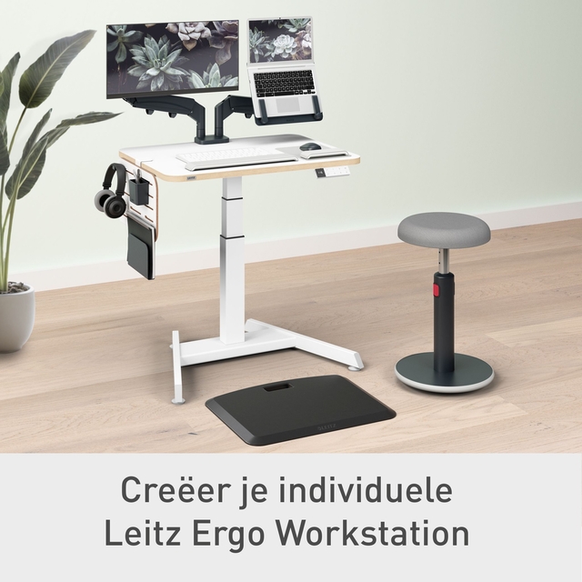 Desk hanging board Leitz Ergo small