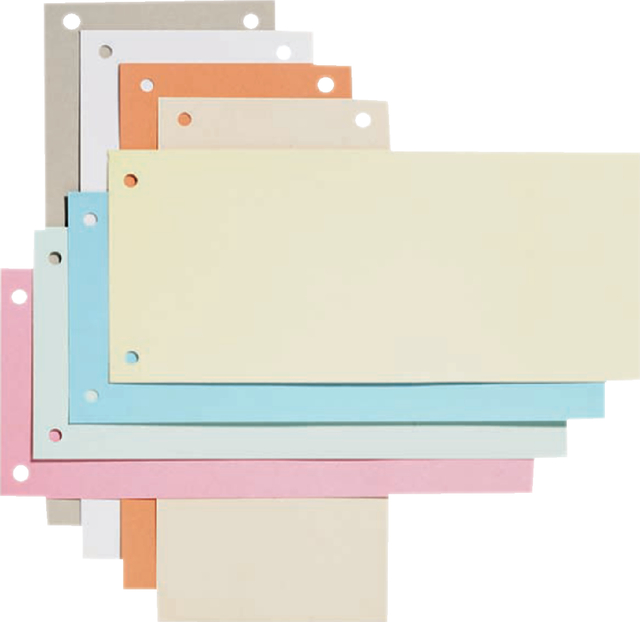 Elba 225x120mm dividers 190gsm card 2 holes blue pack 100