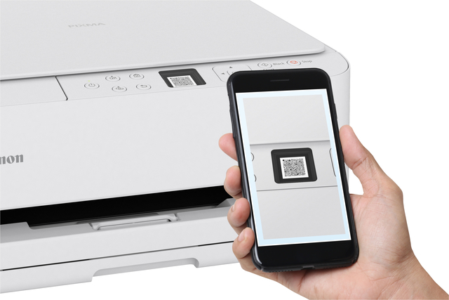 Multifunctional inktjet printer Canon PIXMA TS6550i