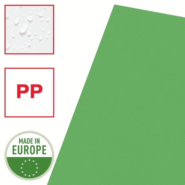 Insteekmap L-model Esselte standaard A4 0.11mm PP groen 100 stuks