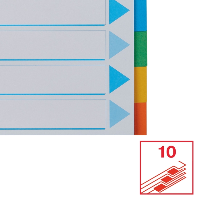 Divider Esselte Standaard A4 10 tabs 11-rings section description cardboard multicolor